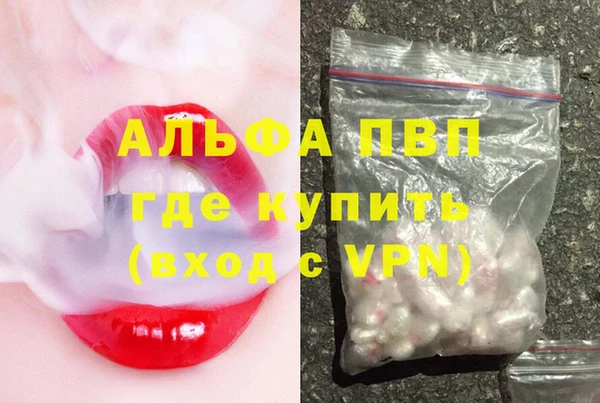 PSILOCYBIN Беломорск
