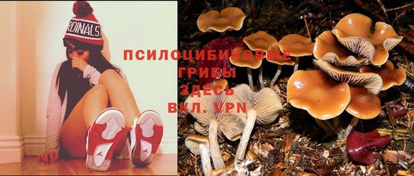 МДМА Богородицк