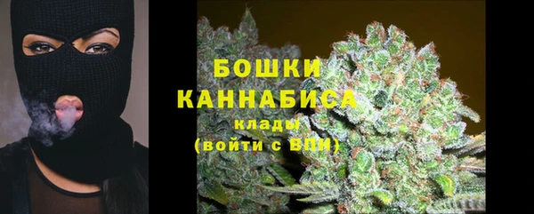 PSILOCYBIN Беломорск