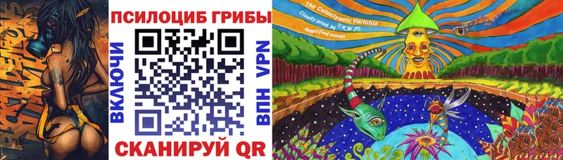 наркотики  Кизляр  Псилоцибиновые грибы ЛСД 